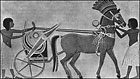horse_and_chariot.jpg
