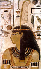 pic16.jpg
